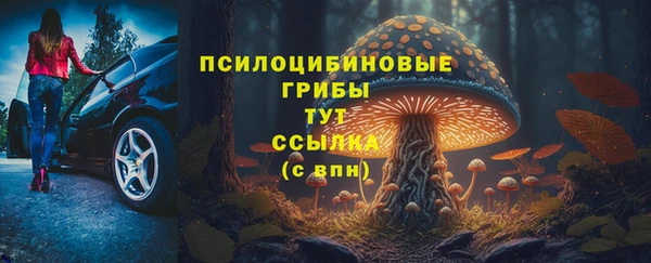 ешки Абаза