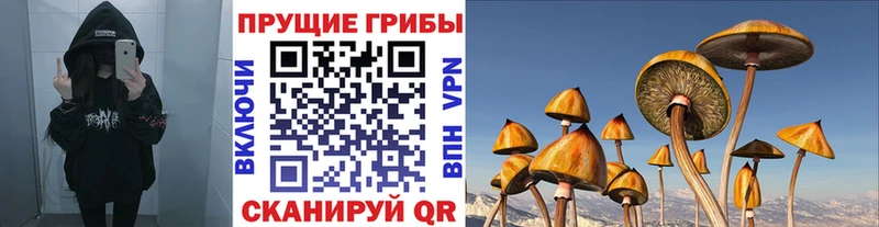 блэк спрут как зайти  Райчихинск  Галлюциногенные грибы прущие грибы 